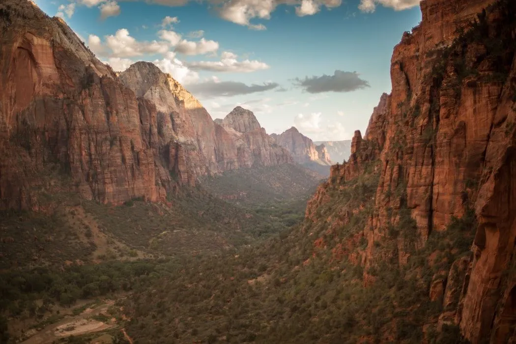 Zion canyon valley framed by layered sandstone cliffs